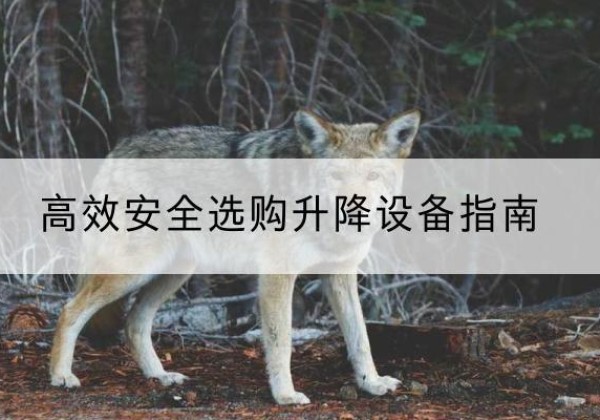 隆子升降货梯厂家推荐-*安全选购升降设备指南