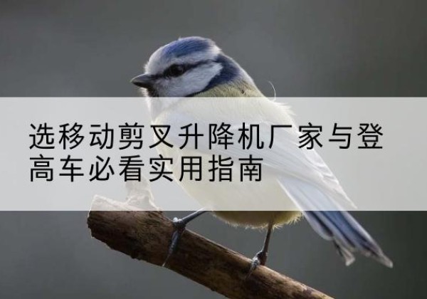 隆子电动升降机厂家-选移动剪叉升降机厂家与登高车必看实用指南