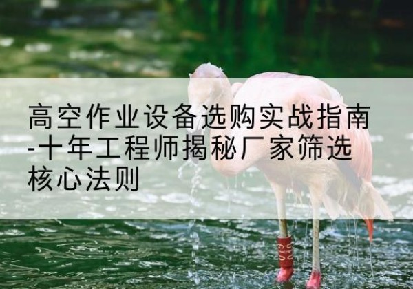 隆子剪叉式升降机厂家-高空作业设备选购实战指南-十年工程师揭秘厂家筛选核心法则